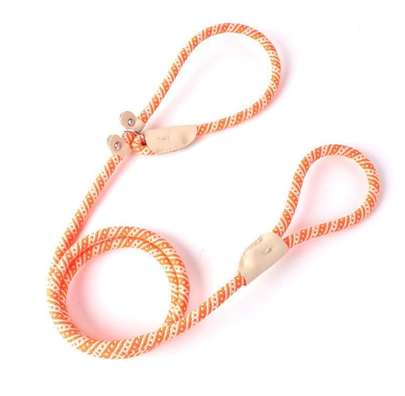 Freihändige Hundeleine in P-Form – Verstellbares Nylon