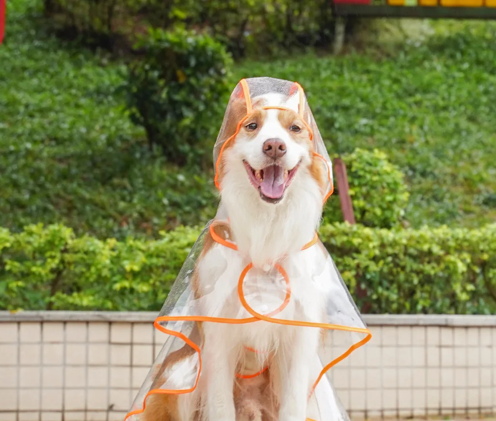 ClearPaw Transparenter Regenmantel für Hunde