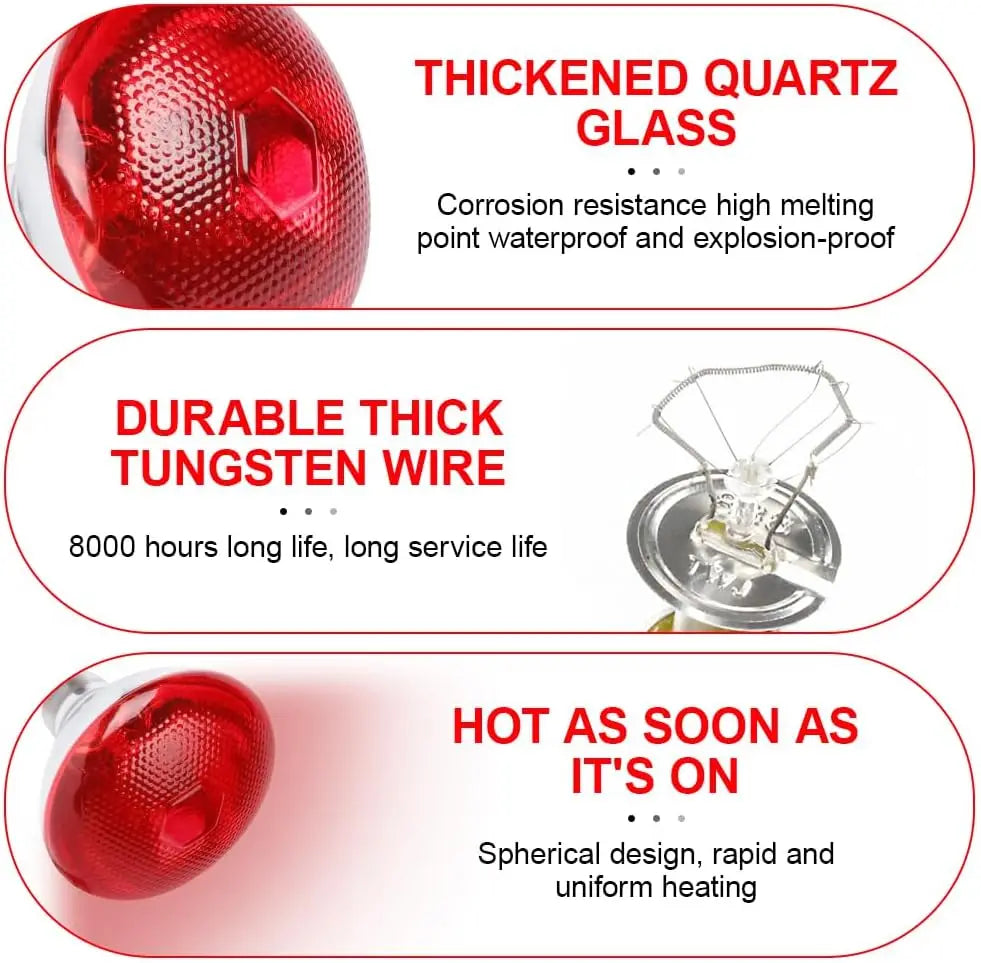 Wärmelampe für Reptilien