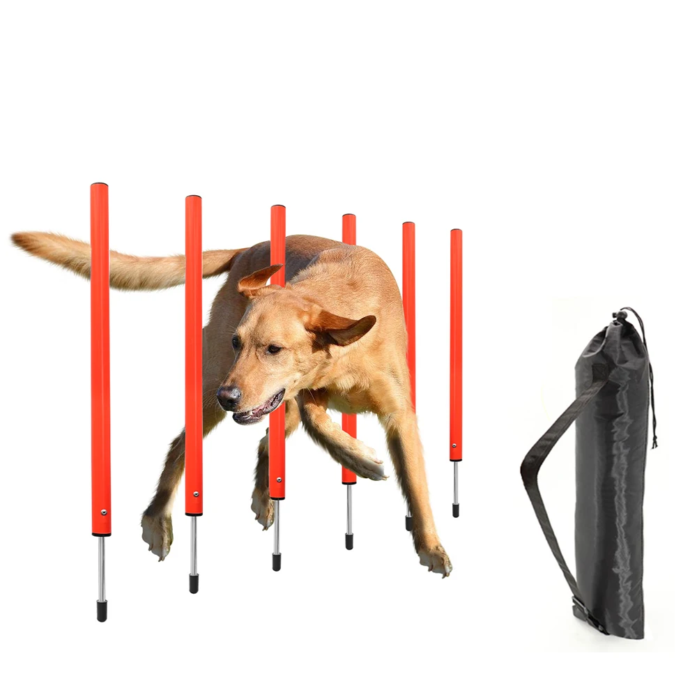 AgiliPro Hundesport-Trainingsset