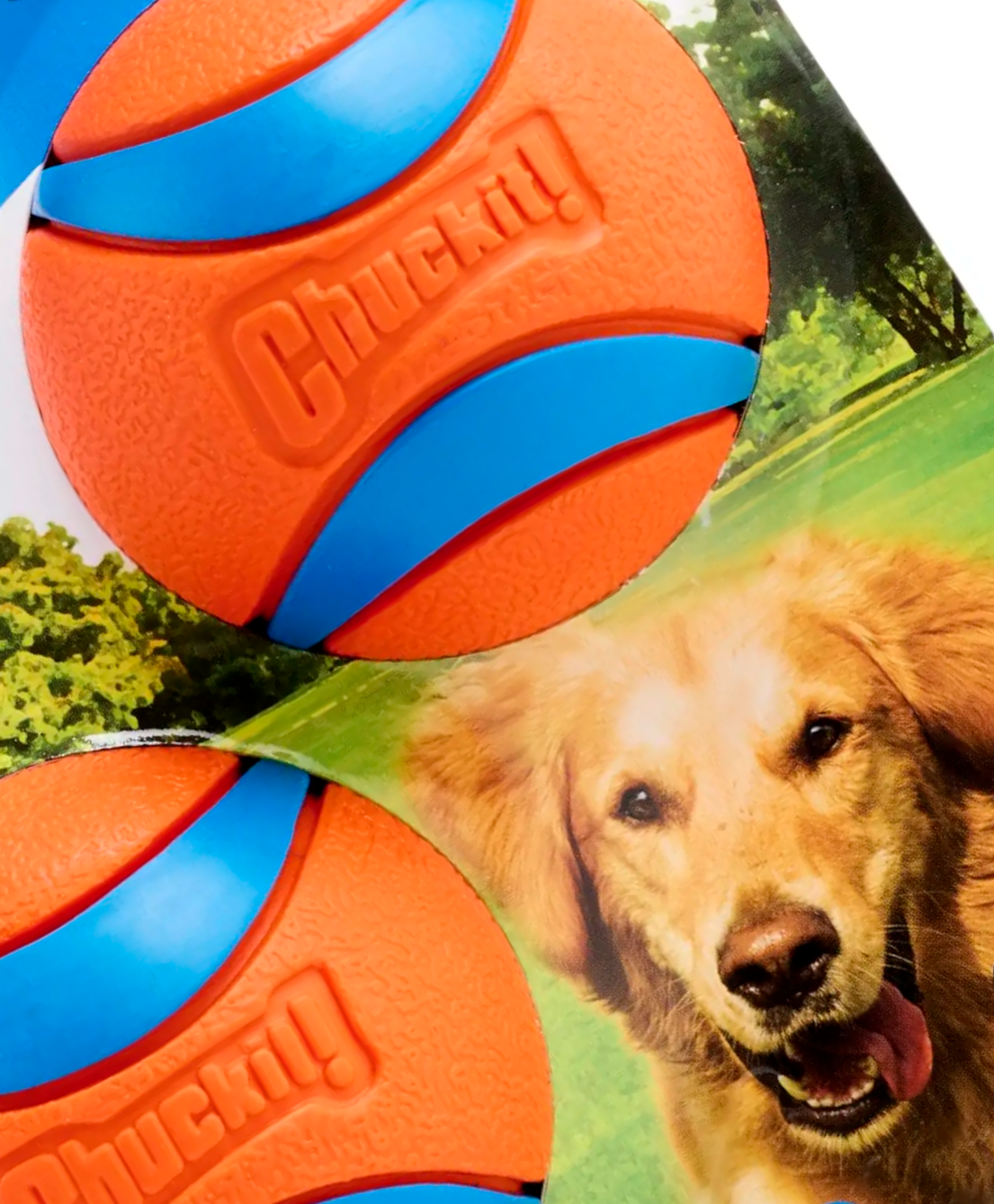 Chuckit UltraBounce Spielball – Kleiner Hüpfball für Hunde