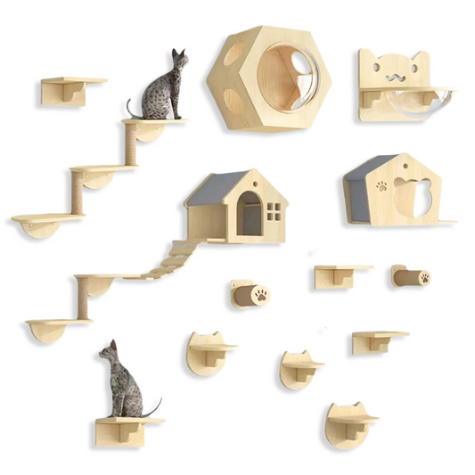 KlimPaws Wandmontierter Krabbenbaum