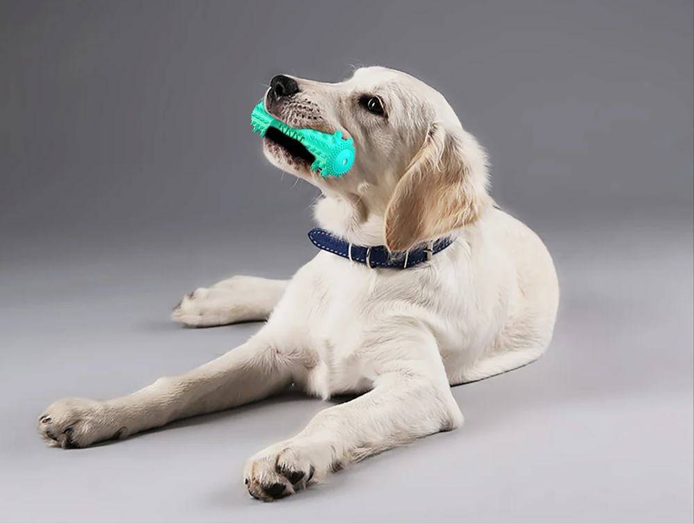 AquaBite Schwimmendes Quietschspielzeug für Hunde