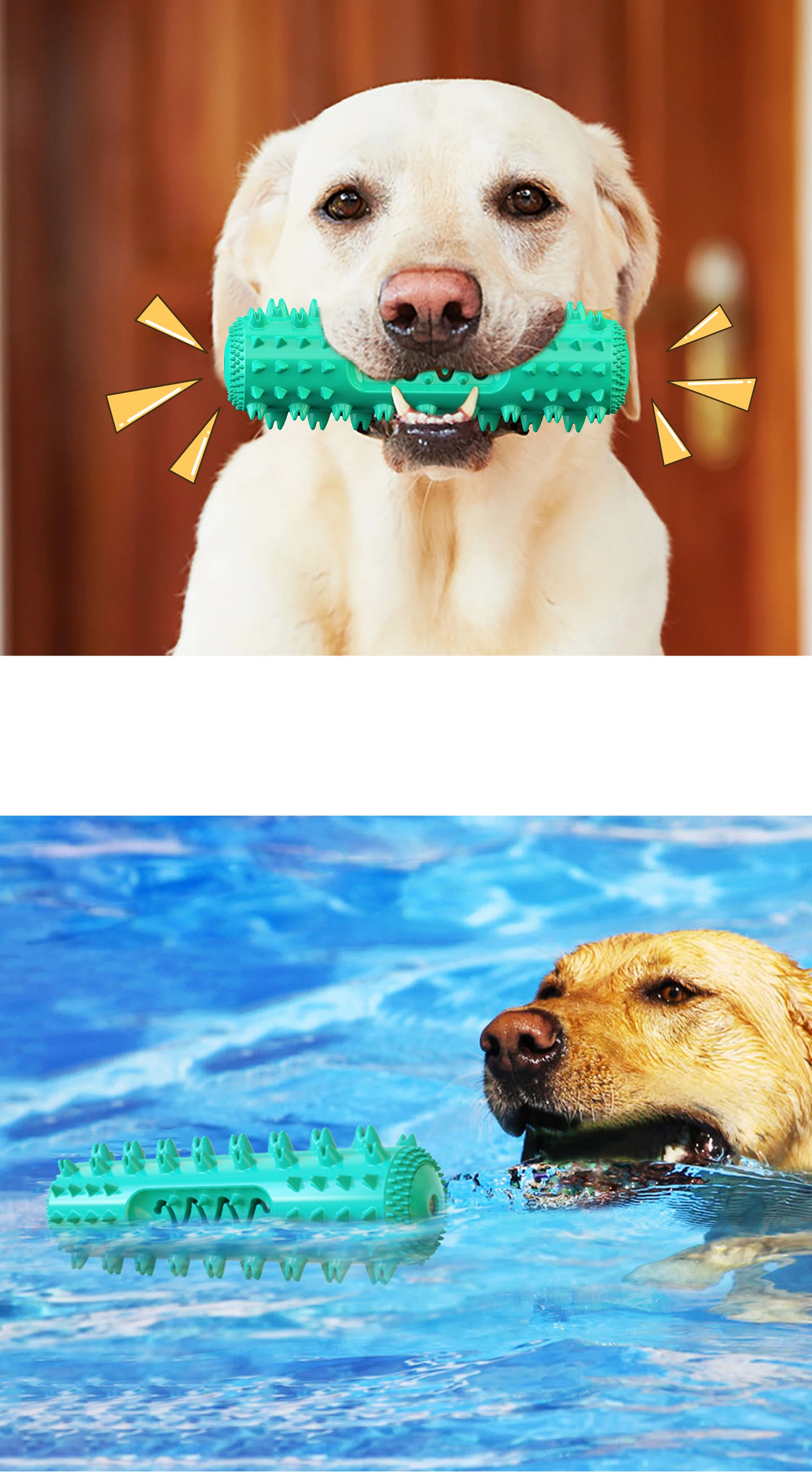 AquaBite Schwimmendes Quietschspielzeug für Hunde