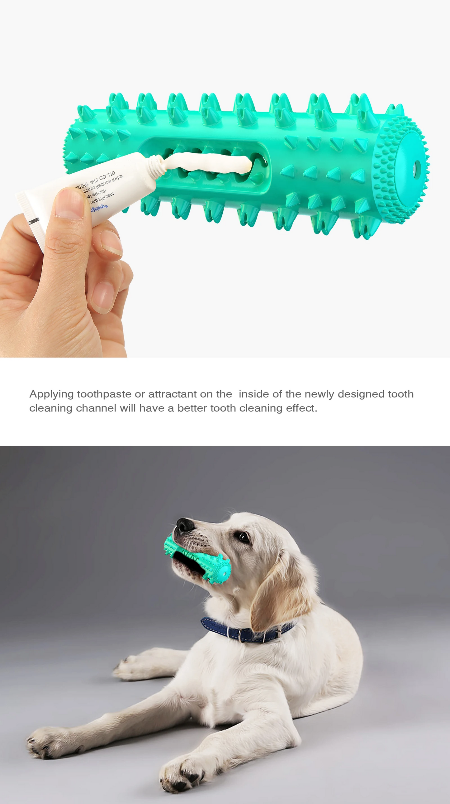 AquaBite Schwimmendes Quietschspielzeug für Hunde