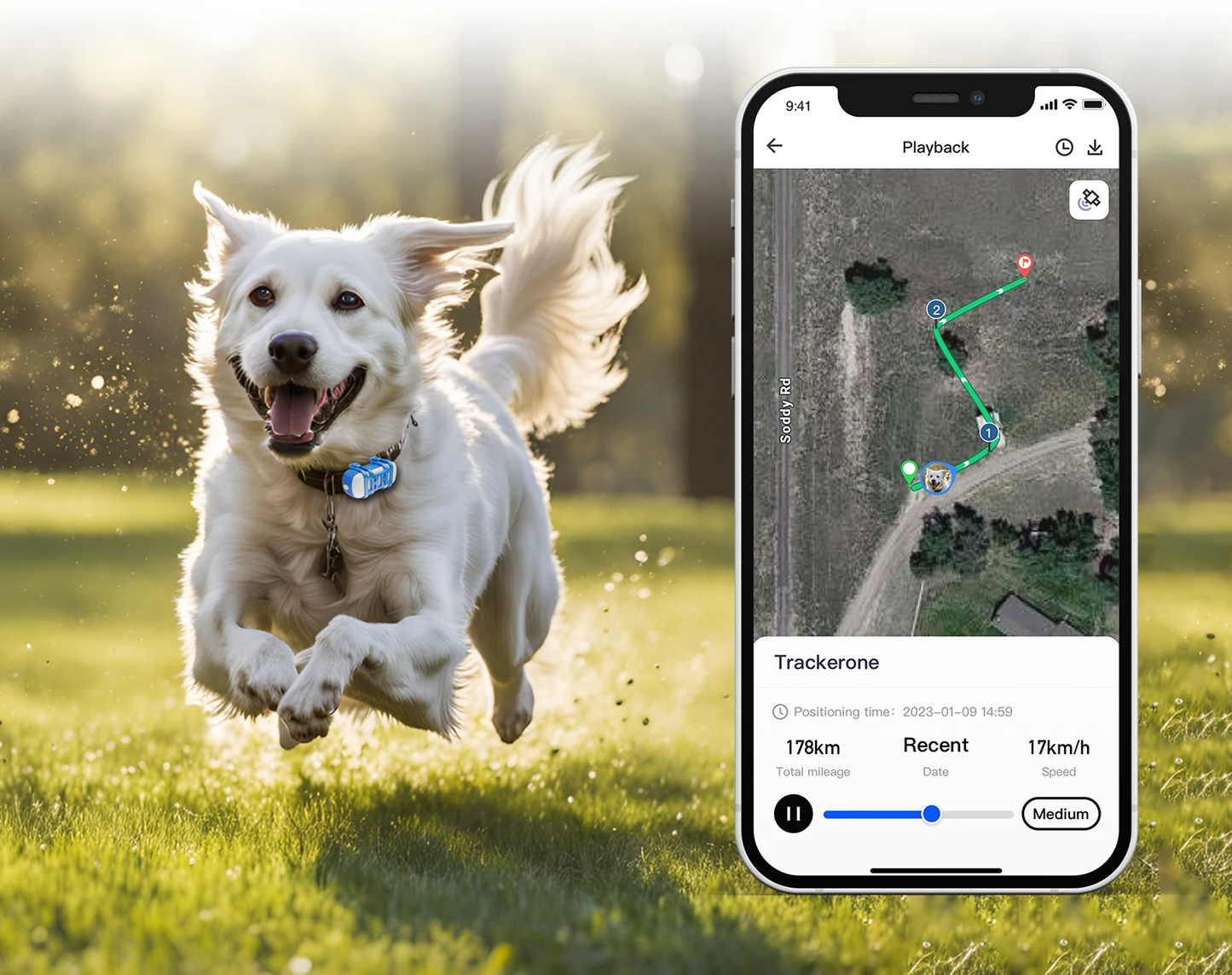 TrackiPet 4G Mini GPS-Tracker für Katzen und Hunde
