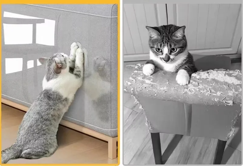 ScratchStop Selbstklebender Kratzschutz für Katzen