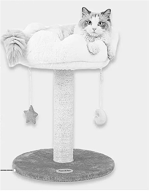 Kletterkönig Doppelkratzbaum