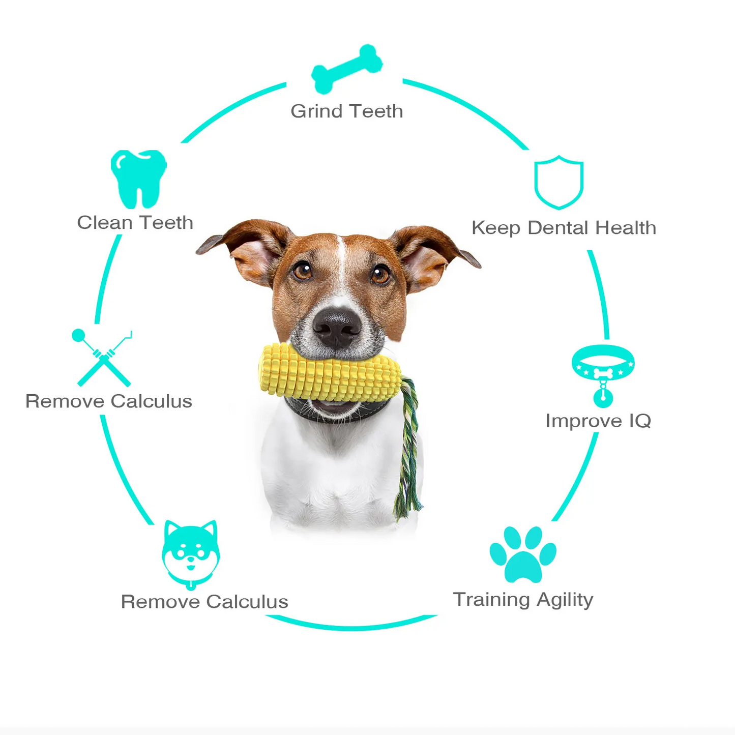 SPLASHBITE Schwimmendes Quietschspielzeug für Hunde