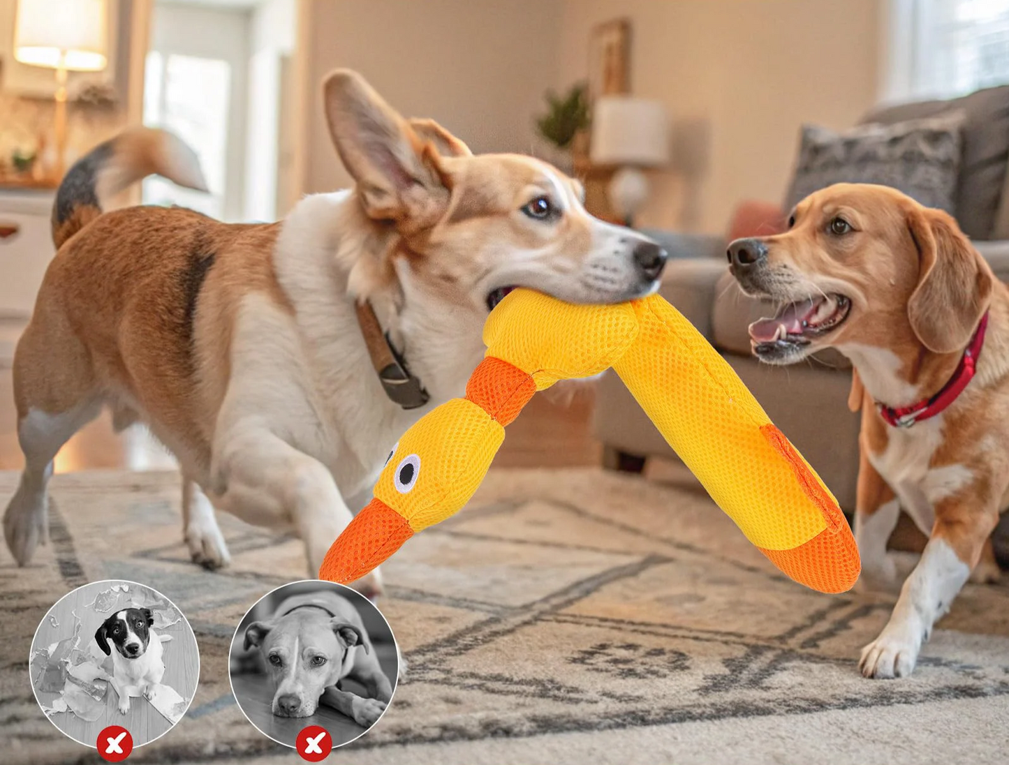 ZiziFloat Hunde-Wasserspielzeug