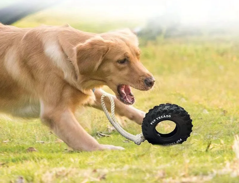 Climb Paws Hunde-Beißspielzeug