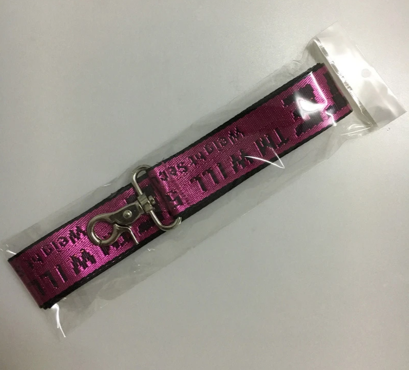 Lux Welpe Goldener Hund Halsband- und Leinen-Set