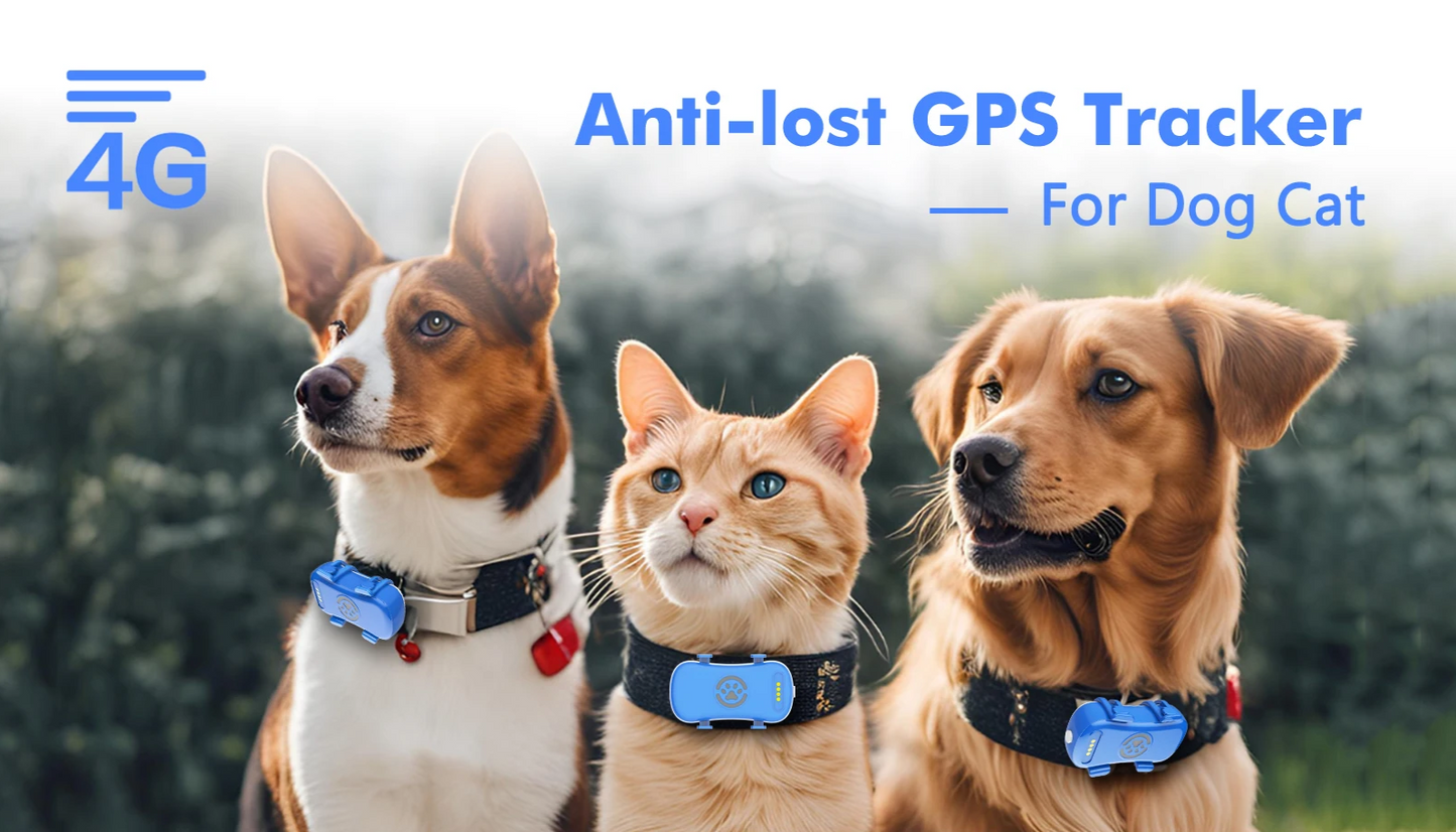 TrackiPet 4G Mini GPS-Tracker für Katzen und Hunde