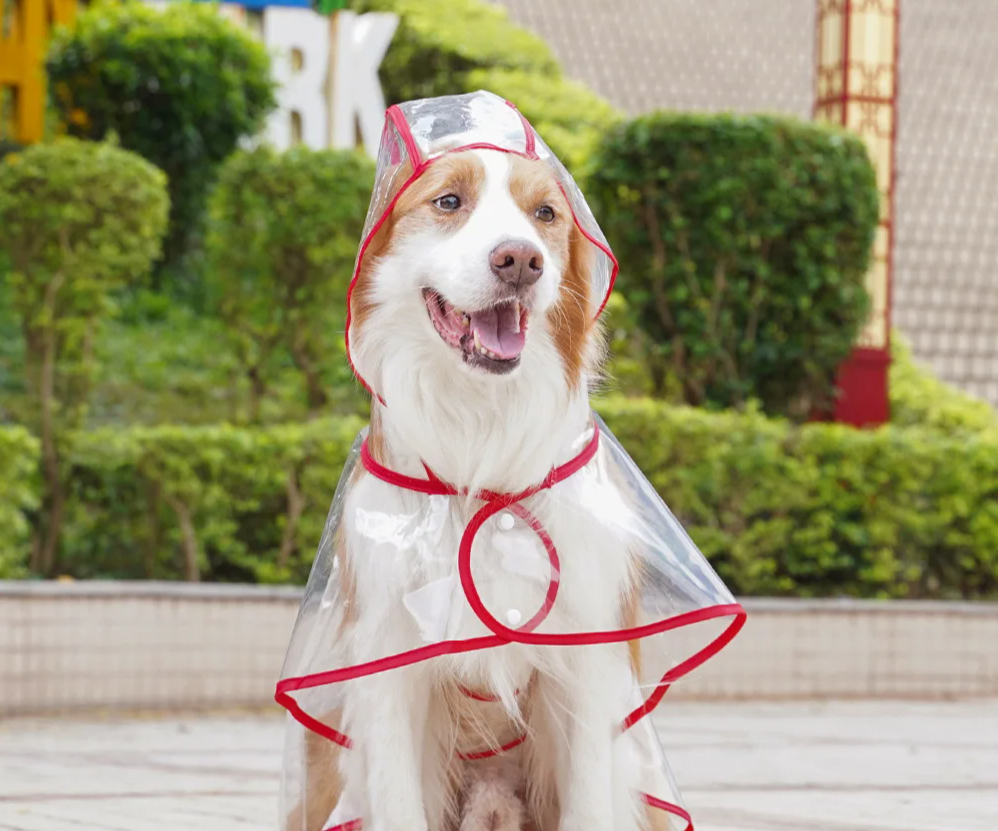 ClearPaw Transparenter Regenmantel für Hunde