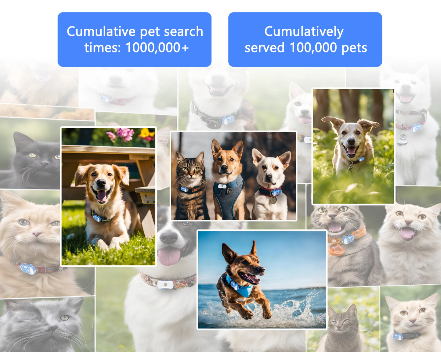 TrackiPet 4G Mini GPS-Tracker für Katzen und Hunde