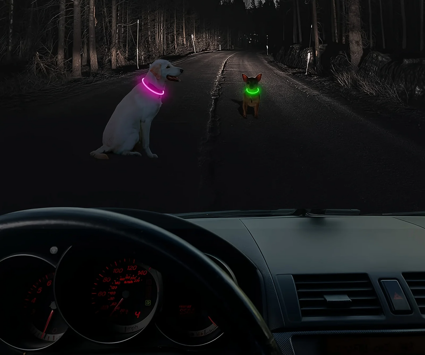 GlowGuard LED-Sicherheitshalsband für Hunde – USB-aufladbar & reflektierend