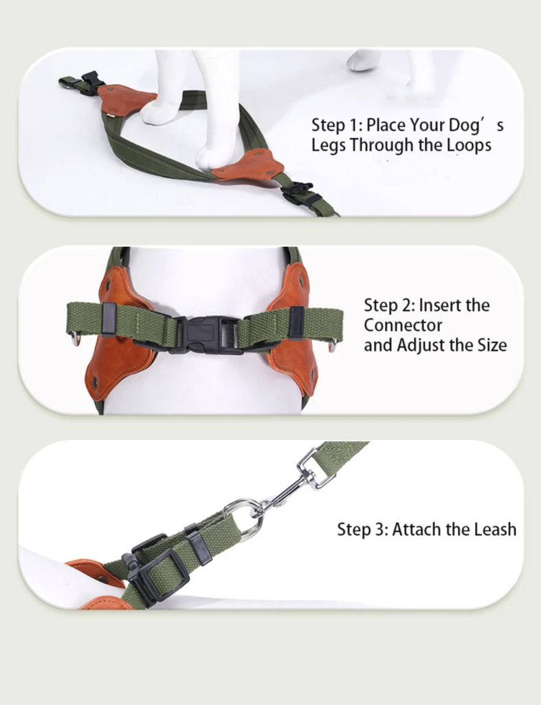 PawCommand Premium Outdoor Geschirr-Set