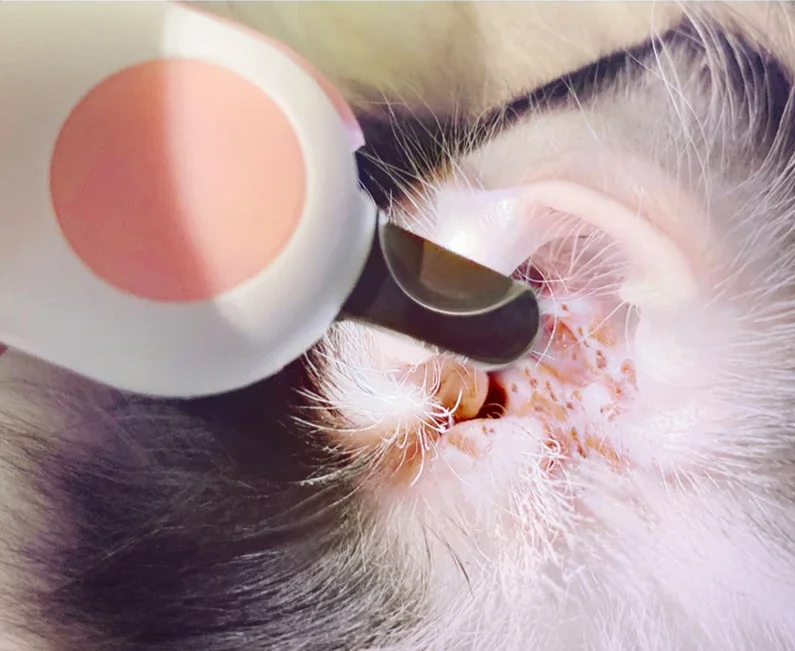 LumiTrim Professioneller LED-Nagelknipser für Hunde & Katzen