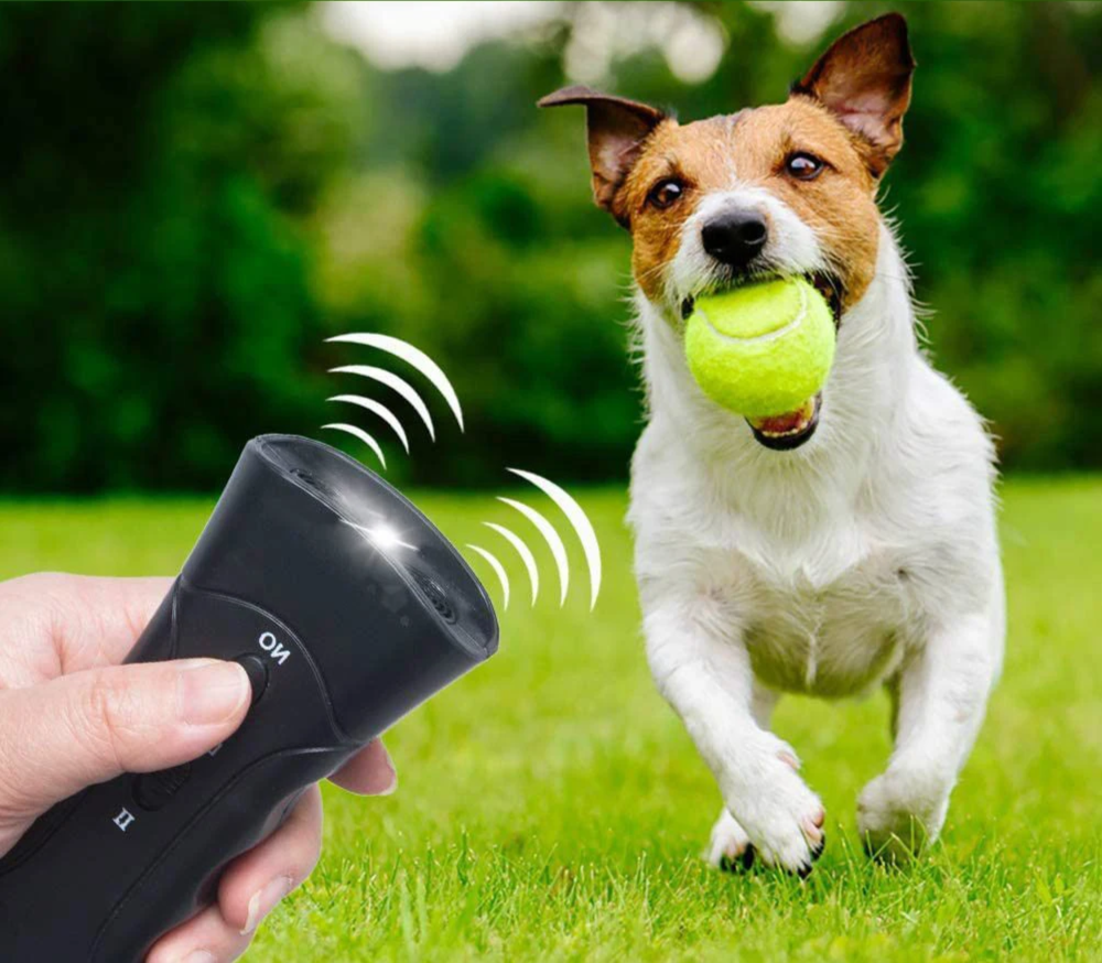 SilentGuard Antibell- und Hundeerziehungsgerät