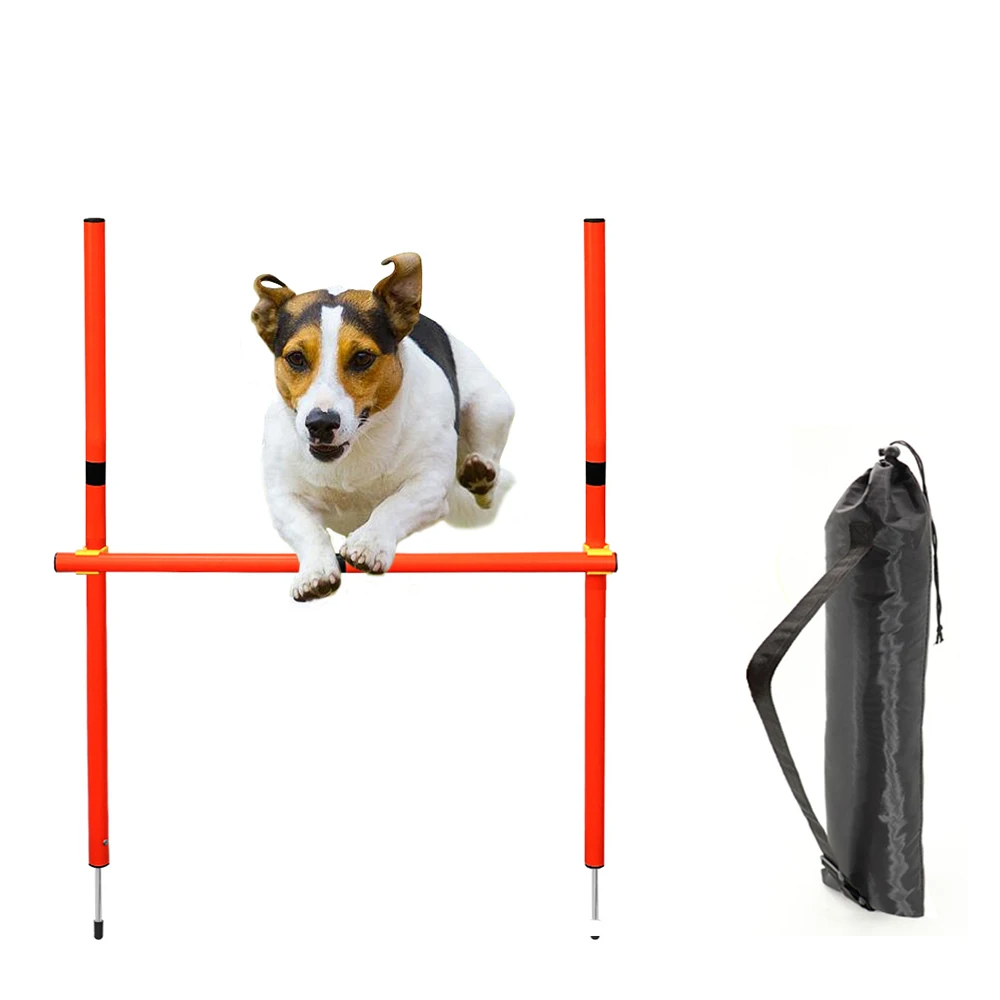 AgiliPro Hundesport-Trainingsset