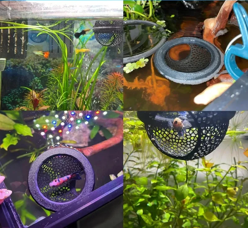 AquaHaven 3-in-1 Schwimmende Höhle & Futterring für Betta und Kleine Aquatische Haustiere