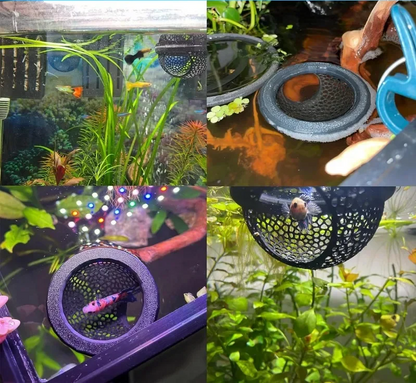 AquaHaven 3-in-1 Schwimmende Höhle & Futterring für Betta und Kleine Aquatische Haustiere