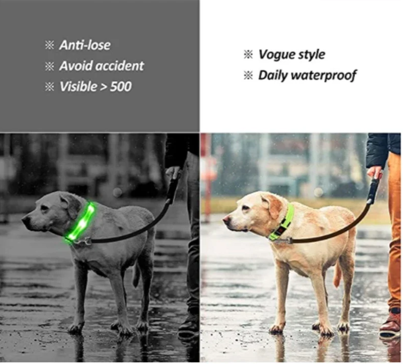 LumiGlow LED Leuchthalsband für Hunde