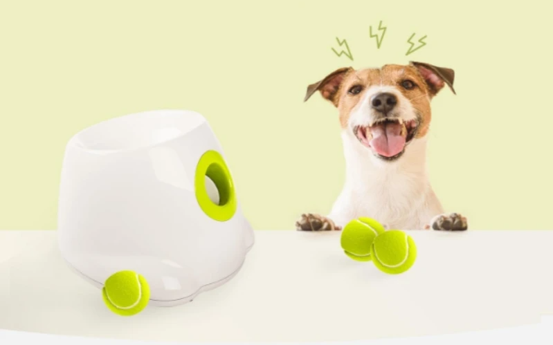 Automatischer Hunde-Ballwerfer – Interaktives Apportierspielzeug