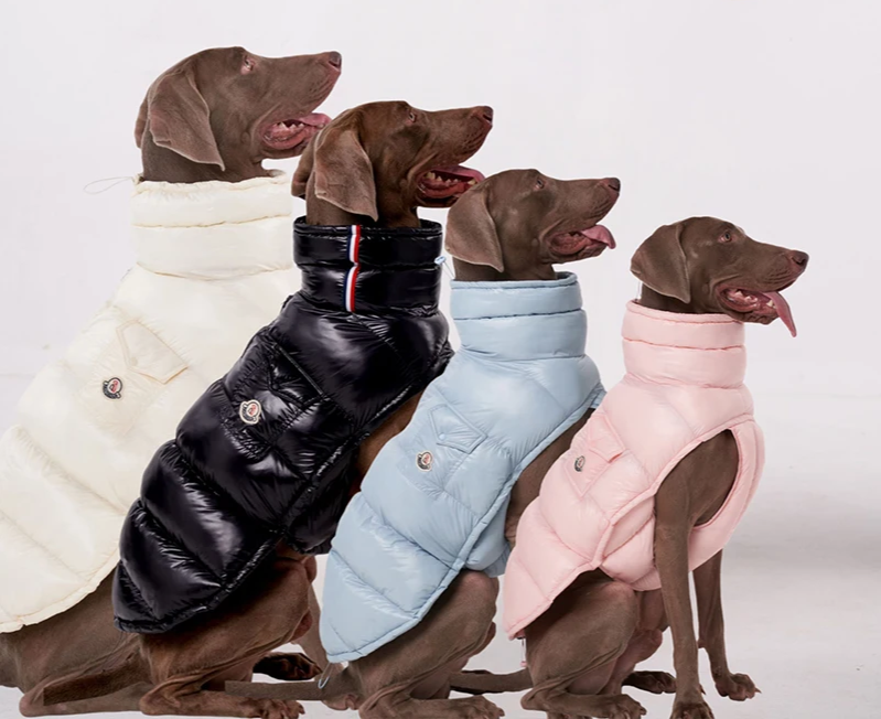 Premium Winter Winddichte Hundejacke