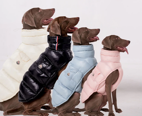 Premium Winter Winddichte Hundejacke