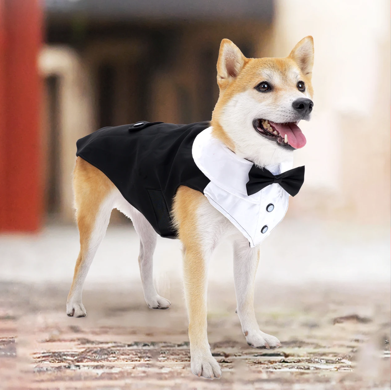 RoyalPaws Eleganter Hunde-Smok – Festlicher Hochzeitsanzug