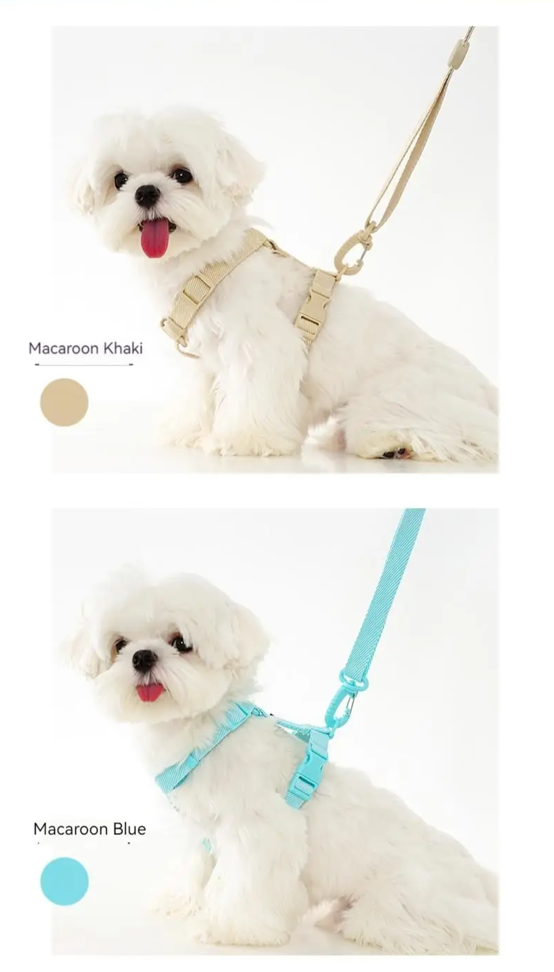 MacaroneWalk – Verstellbares Hundegeschirr-Set mit Halsband und Leine