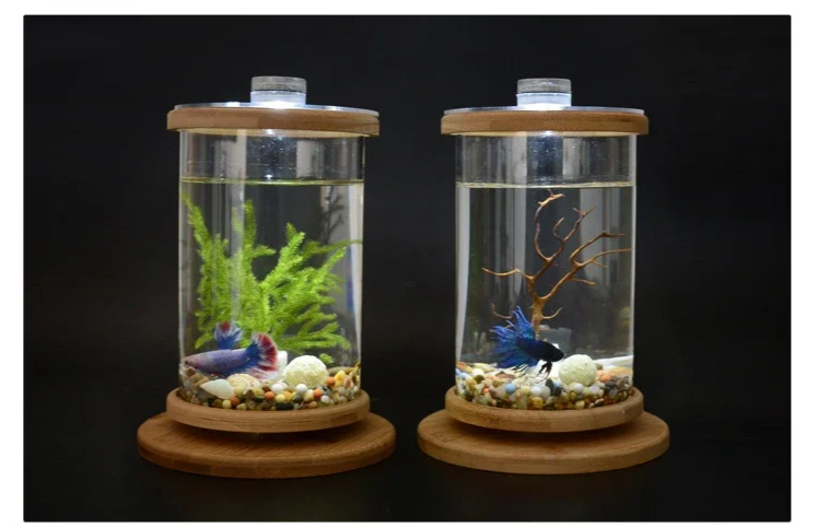AquaGlow LED zylindrisches Mini-Aquarium