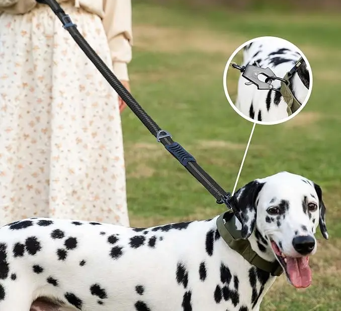 TATICRIP Reflektierende, stoßdämpfende Hundeleine mit Sicherheitsgurt – Für kräftige und aktive Hunde