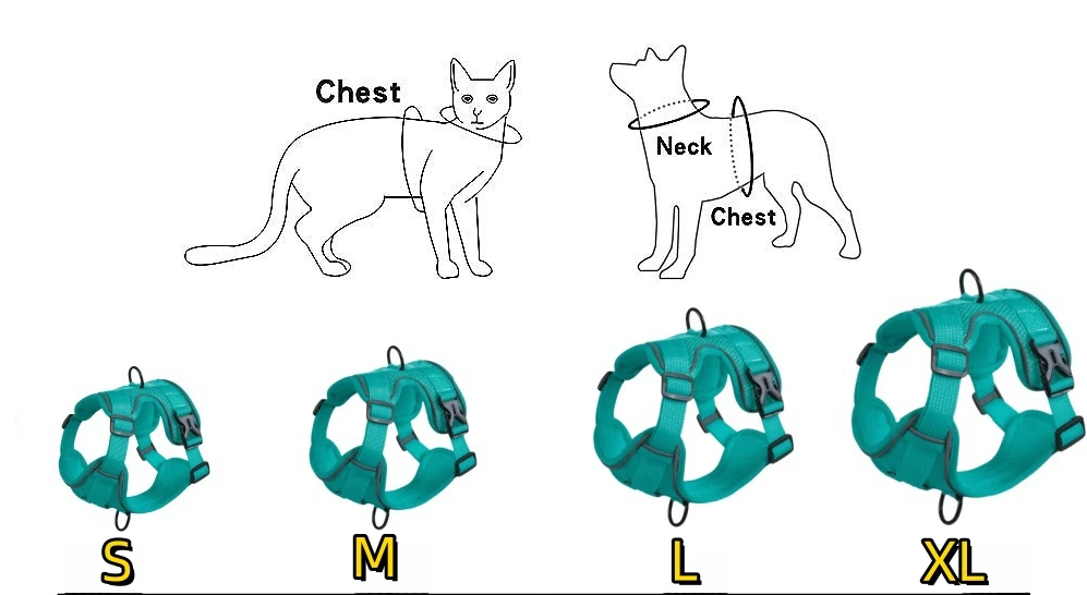 Paw Secure Geschirr- und Leinen-Set