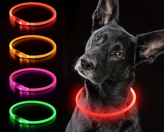 GlowGuard LED-Sicherheitshalsband für Hunde – USB-aufladbar & reflektierend