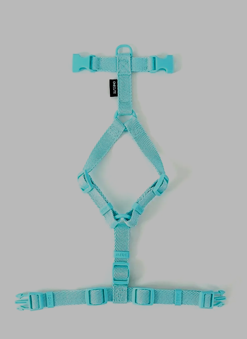 MacaroneWalk – Verstellbares Hundegeschirr-Set mit Halsband und Leine