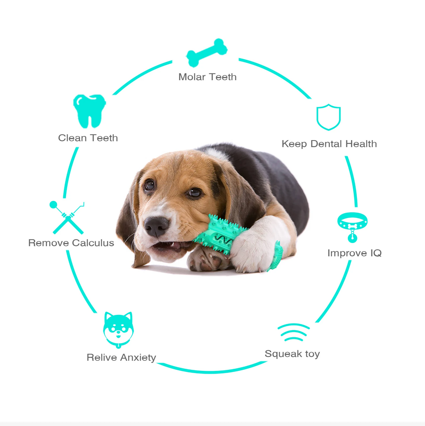 AquaBite Schwimmendes Quietschspielzeug für Hunde