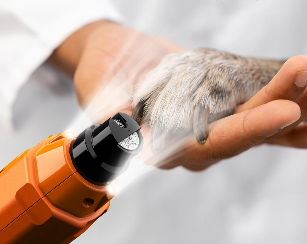 PawPerfect Elektrische Hunde-Krallenfeile mit 6 Geschwindigkeiten