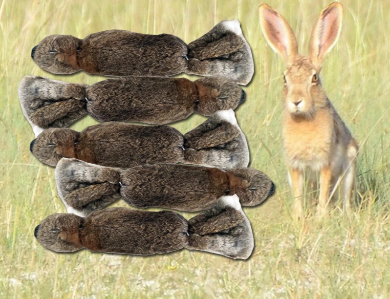 KlimPaws Jagdhund-Beißspielzeug