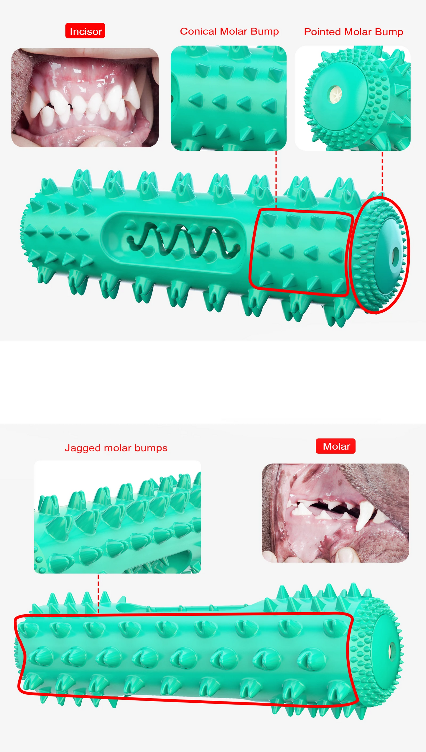 AquaBite Schwimmendes Quietschspielzeug für Hunde