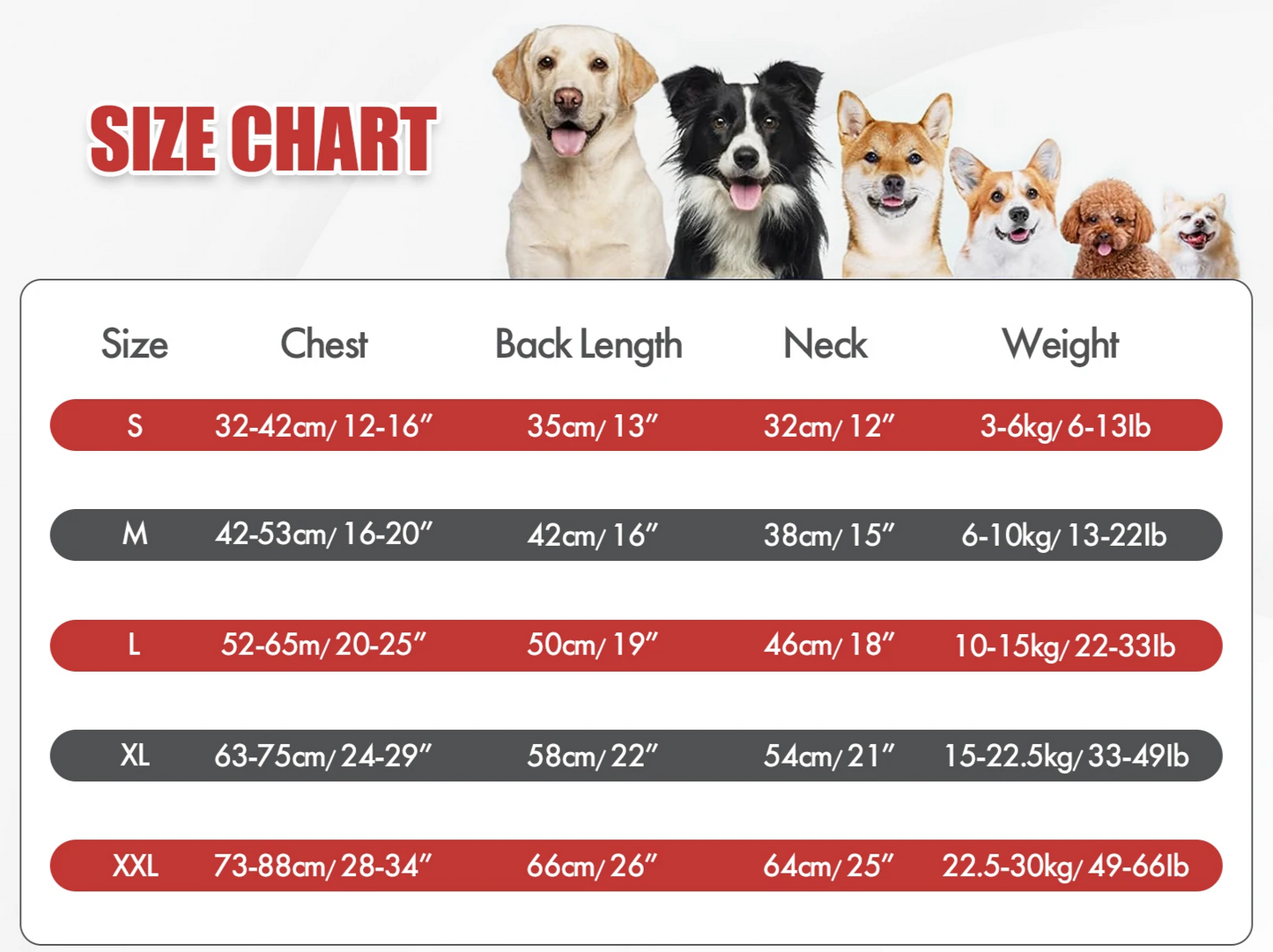 RoyalPaws Eleganter Hunde-Smok – Festlicher Hochzeitsanzug