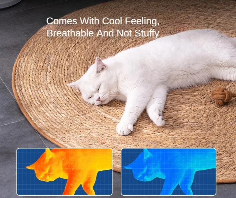 Calambous Ratan Qarbama