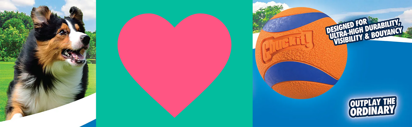 Chuckit UltraBounce Spielball – Kleiner Hüpfball für Hunde