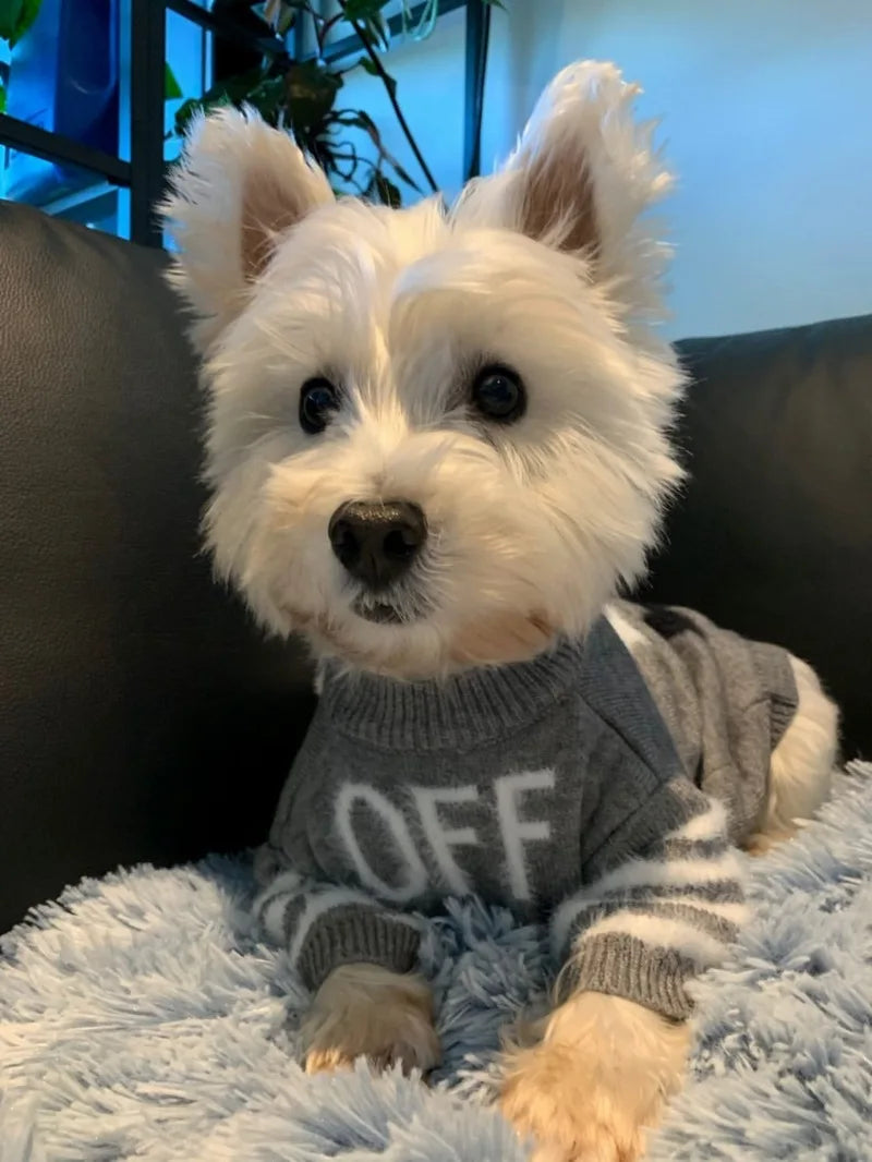 DUOMASUMI Flexible Haustierbekleidung