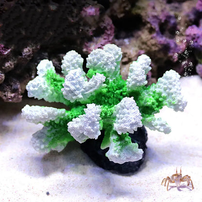 Korallenriff-Aquarienornament aus Harz
