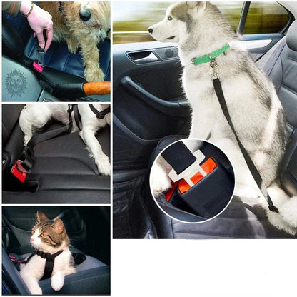 SAFEPAWS – Verstellbarer Sicherheitsgurt für Haustiere | Sicherheitsgurt für Hunde und Katzen
