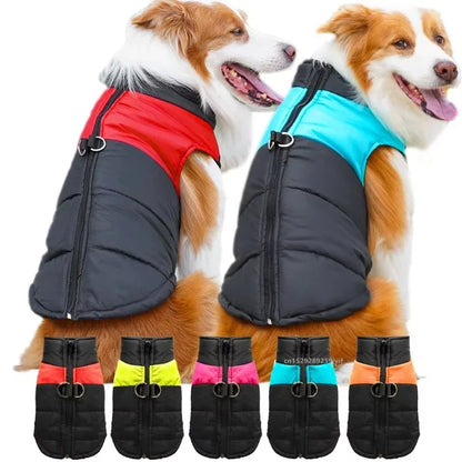 FurWarm – Wasserdichter, warmer Hundemantel mit Reißverschluss und Wattierung