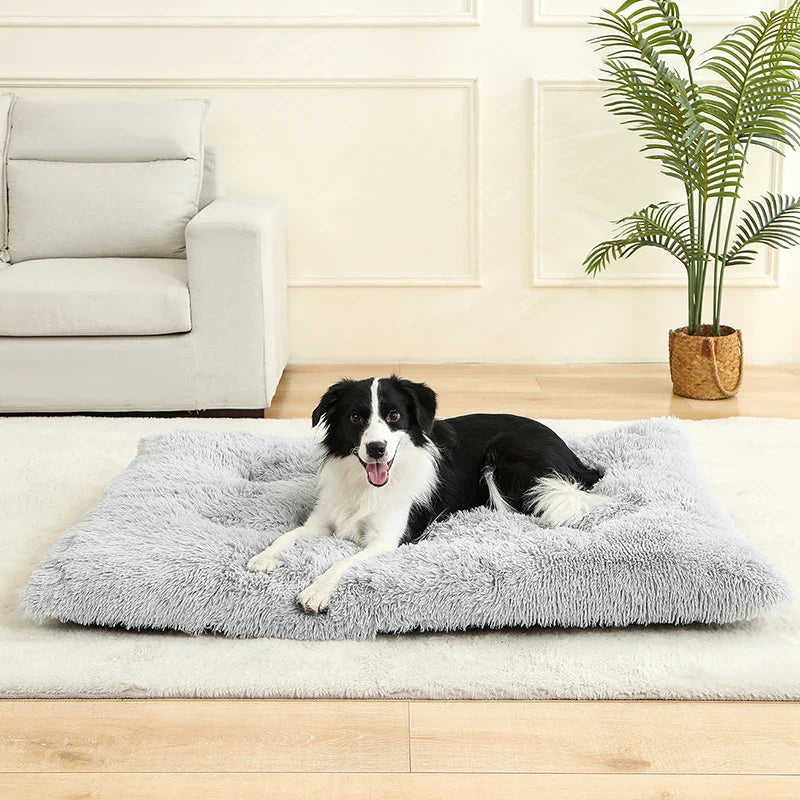 Plüsch-Hundebett – Weicher Korb für Hund oder Katze (60–70 cm)