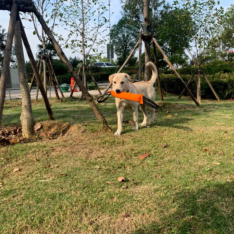 PowerPlay Hundebeißstock